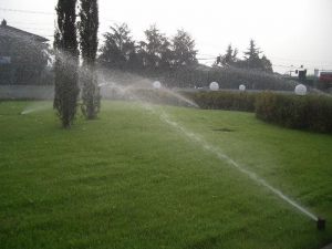 irrigazione-subirrigazione6